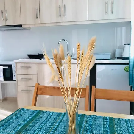 Guest house In - 2 Bedroom Apartment, With Swimming Pool, Two Steps From The